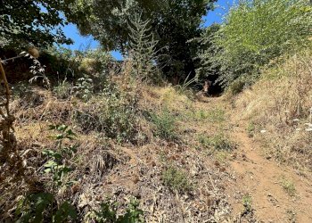 Foto 24 - Terreno agricolo Mercato San Severino - foto 24