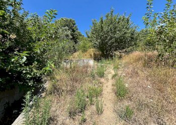 Foto 25 - Terreno agricolo Mercato San Severino - foto 25