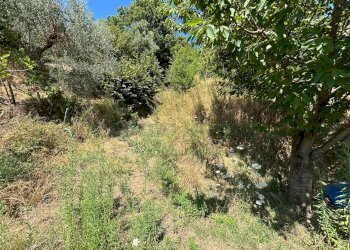 Foto 27 - Terreno agricolo Mercato San Severino - foto 27