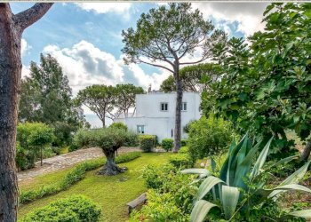 Foto 15 - Villa Ischia - foto 15