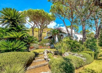 Foto 36 - Villa Ischia - foto 36