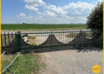 Foto 12 - Capannone via canale
10, Molinella - foto 12