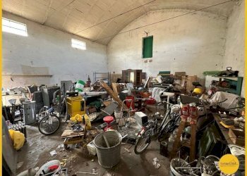 Foto 20 - Capannone via canale
10, Molinella - foto 20