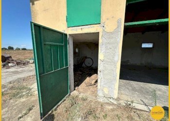 Foto 41 - Capannone via canale
10, Molinella - foto 41