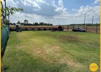 Foto 46 - Capannone via canale
10, Molinella - foto 46