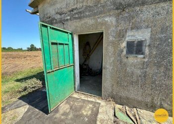 Foto 51 - Capannone via canale
10, Molinella - foto 51