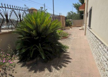 Cortile interno - Villa Statte - foto 48