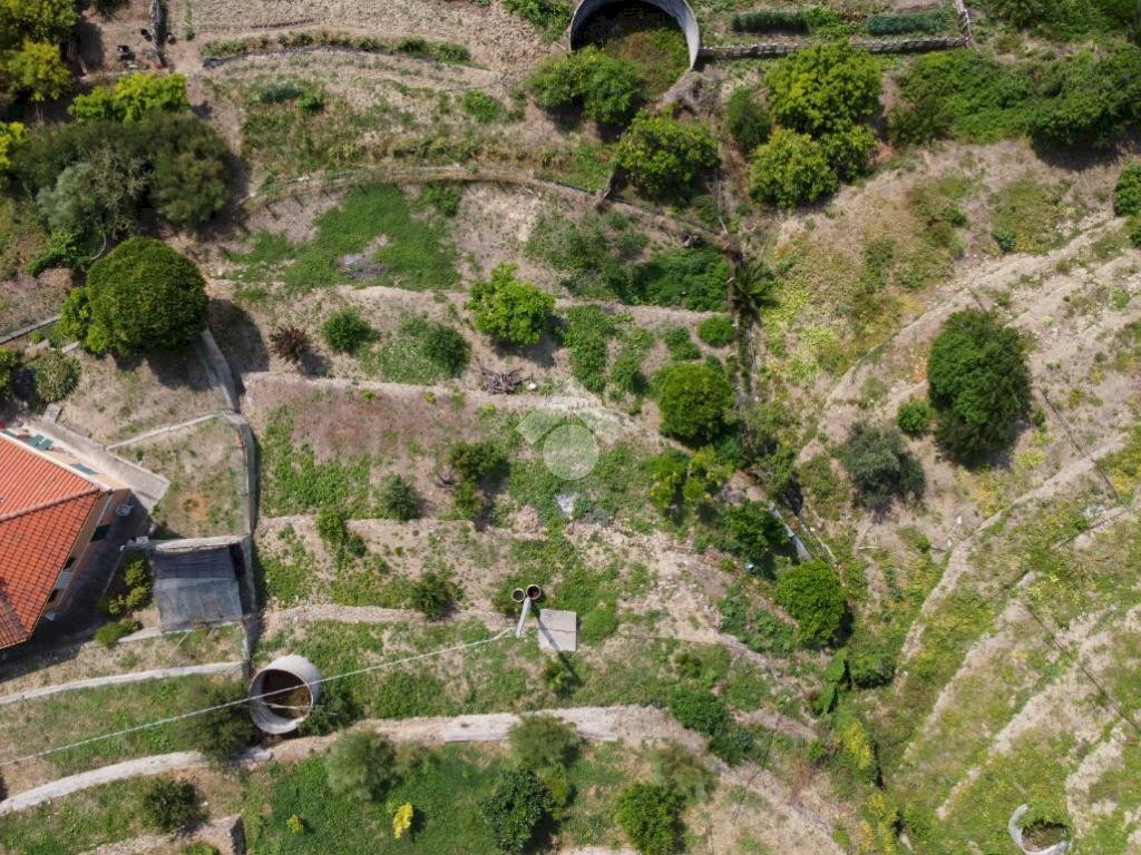 Building land Via Annunziata, San Biagio della Cima - photo 3