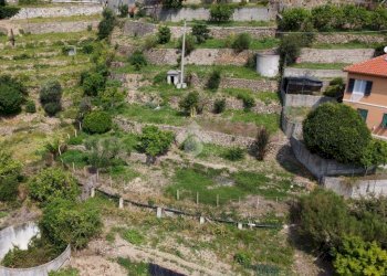 Building land Via Annunziata, San Biagio della Cima - photo 4