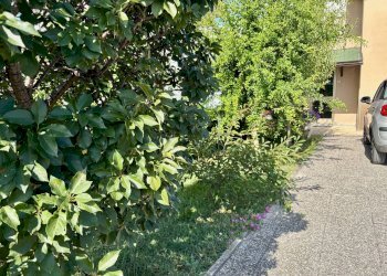 Foto 2 - Casa indipendente via mar mediterraneo, Montemarciano - foto 2