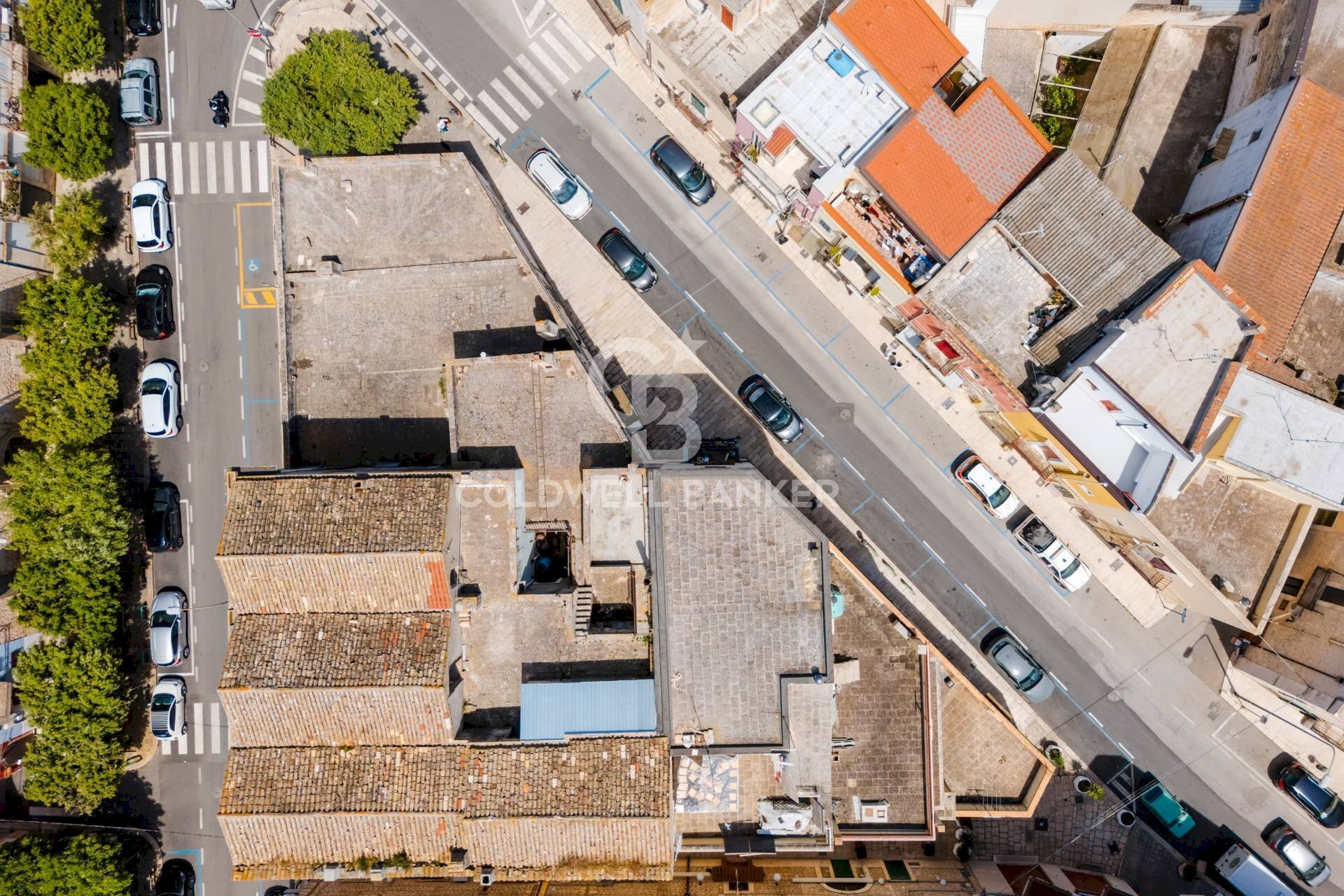 Foto 3 - Stable - Palace CORSO GARIBALDI
 
5, Casamassima - photo 3