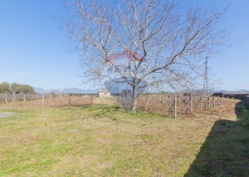 Giardino - Terreno agricolo Solicchiata, Castiglione di Sicilia - foto 2