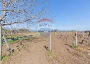 Vista delle montagne - Terreno agricolo Solicchiata, Castiglione di Sicilia - foto 3