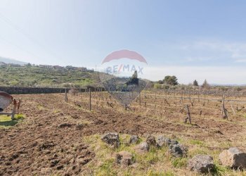 Vista delle montagne - Terreno agricolo Solicchiata, Castiglione di Sicilia - foto 5