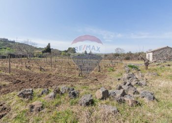 Vista delle montagne - Terreno agricolo Solicchiata, Castiglione di Sicilia - foto 7