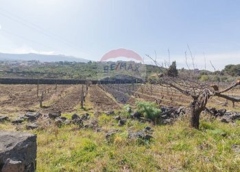 Vista delle montagne - Terreno agricolo Solicchiata, Castiglione di Sicilia - foto 9