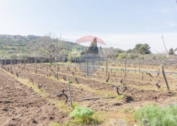 Vista delle montagne - Terreno agricolo Solicchiata, Castiglione di Sicilia - foto 10