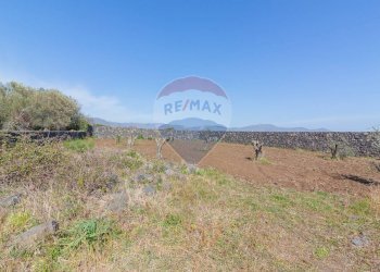 Vista delle montagne - Terreno agricolo Solicchiata, Castiglione di Sicilia - foto 11