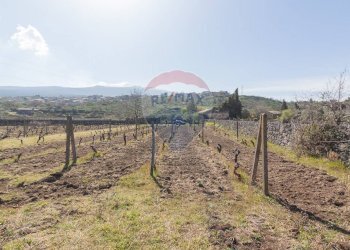 Vista delle montagne - Terreno agricolo Solicchiata, Castiglione di Sicilia - foto 12