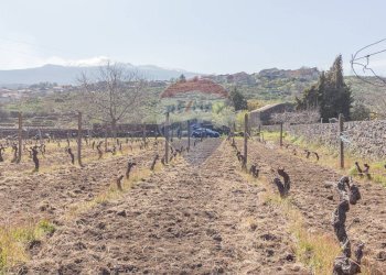 Vista delle montagne - Terreno agricolo Solicchiata, Castiglione di Sicilia - foto 13