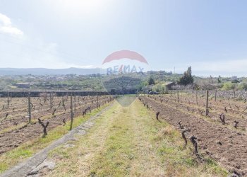 Vista delle montagne - Terreno agricolo Solicchiata, Castiglione di Sicilia - foto 15