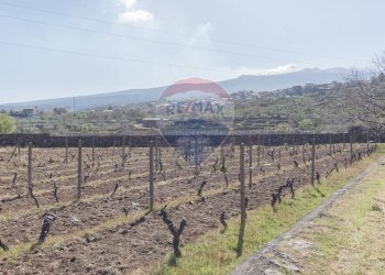 Vista delle montagne - Terreno agricolo Solicchiata, Castiglione di Sicilia - foto 16