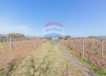 Vista delle montagne - Terreno agricolo Solicchiata, Castiglione di Sicilia - foto 26