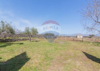 Giardino - Terreno agricolo Solicchiata, Castiglione di Sicilia - foto 28