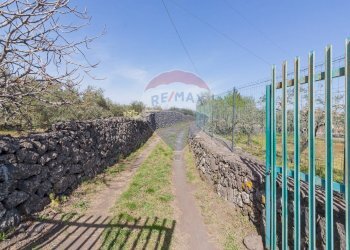 Giardino - Terreno agricolo Solicchiata, Castiglione di Sicilia - foto 30
