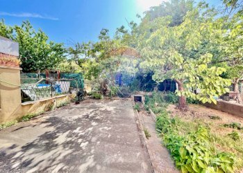 Giardino - Apartment Cecina - photo 38