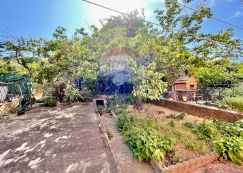 Giardino - Apartment Cecina - photo 39