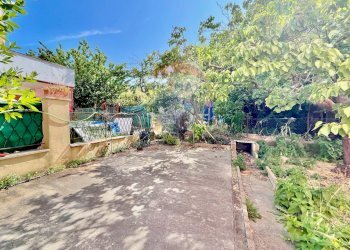 Giardino - Apartment Cecina - photo 40