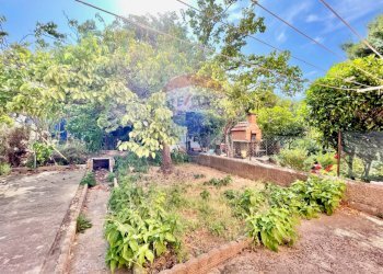 Giardino - Apartment Cecina - photo 41