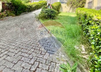 Giardino - Apartment Cecina - photo 44