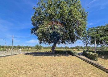 Giardino - Casa indipendente via canale
 
50, Torrevecchia Teatina - foto 27