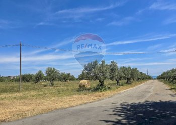 Vista delle montagne - Casa indipendente via canale
 
50, Torrevecchia Teatina - foto 29