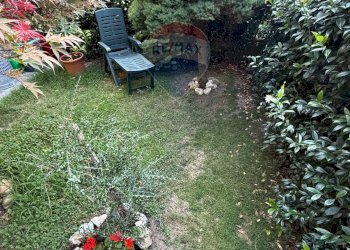 Giardino - Casa semi indipendente Vellezzo Bellini - foto 18