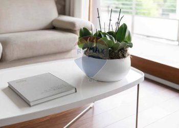 \nDettagli\n - Appartamento Via Degli Ottoboni
 
37, Milano - foto 4