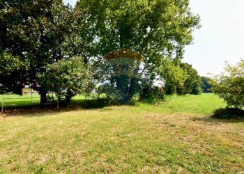 Giardino - Semi-detached house Cascina Tovaiera
 
3, Lodi - photo 27