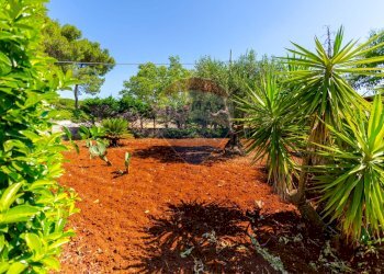Giardino - Casa semi indipendente Strada Crispiano
 
129/A, Martina Franca - foto 37