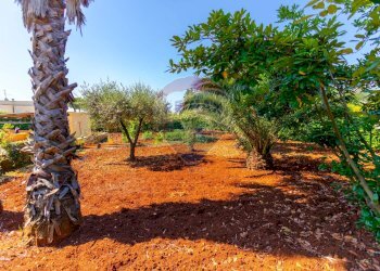 Giardino - Casa semi indipendente Strada Crispiano
 
129/A, Martina Franca - foto 38