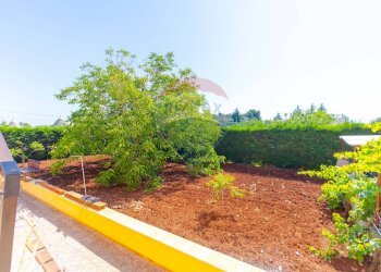 Giardino - Casa semi indipendente Strada Crispiano
 
129/A, Martina Franca - foto 10