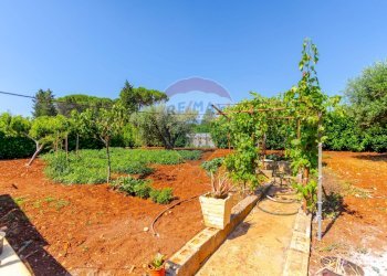 Giardino - Casa semi indipendente Strada Crispiano
 
129/A, Martina Franca - foto 23