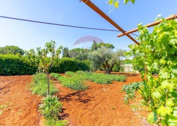 Giardino - Casa semi indipendente Strada Crispiano
 
129/A, Martina Franca - foto 24