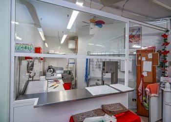 Foto 7 - Attività Commerciale Corso Vittorio Veneto 35, Osio Sotto - foto 7