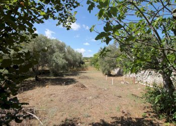 Foto 14 - Villa C.da San Marco, Noto - foto 14