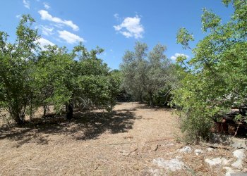 Foto 17 - Villa C.da San Marco, Noto - foto 17