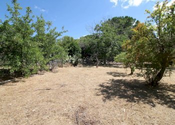 Foto 19 - Villa C.da San Marco, Noto - foto 19