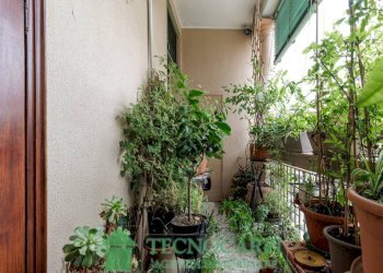 Giardino - Quadrilocale piazza dei Martiri, Carpi - foto 31