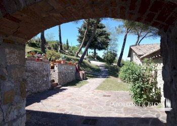Casale Località Due Querce, 43, Castellina in Chianti - photo 25